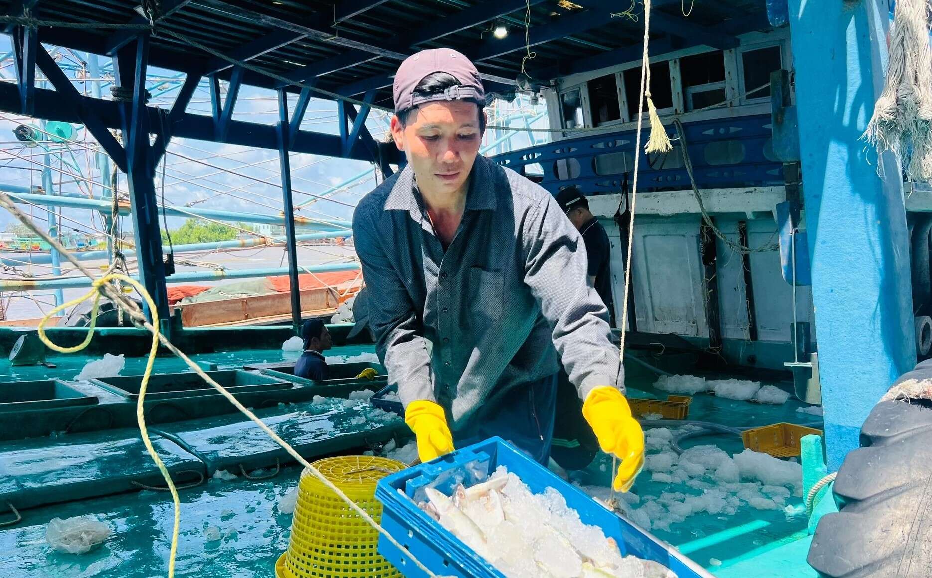 Cà Mau xây dựng Đề án chuyển đổi nghề khai thác thủy sản bền vững 